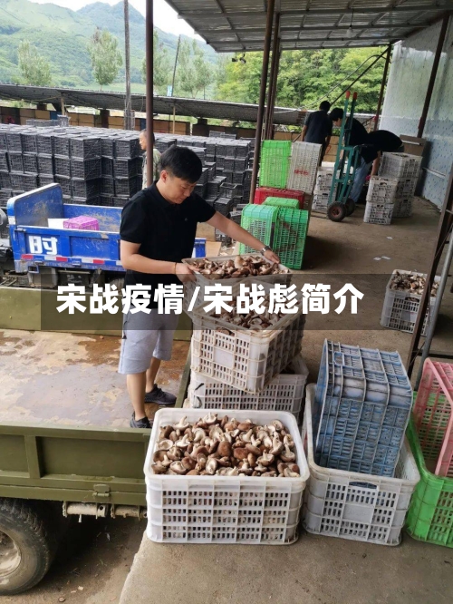 宋战疫情/宋战彪简介