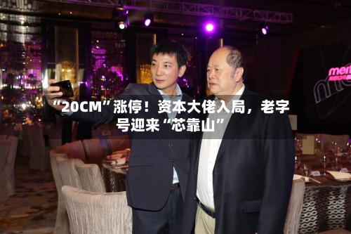 “20CM	”涨停！资本大佬入局，老字号迎来“芯靠山”-第2张图片