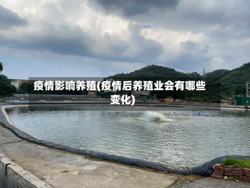 疫情影响养殖(疫情后养殖业会有哪些变化)-第2张图片