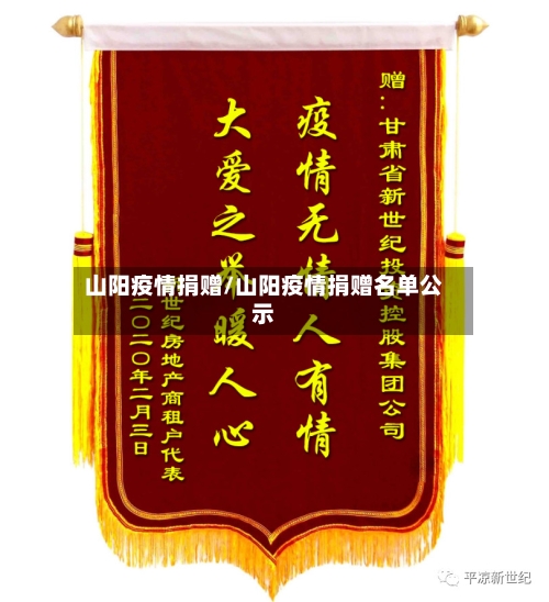 山阳疫情捐赠/山阳疫情捐赠名单公示-第3张图片
