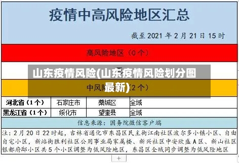 山东疫情风险(山东疫情风险划分图最新)