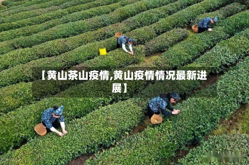 【黄山茶山疫情,黄山疫情情况最新进展】