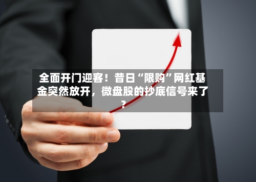全面开门迎客！昔日“限购	”网红基金突然放开，微盘股的抄底信号来了？-第2张图片