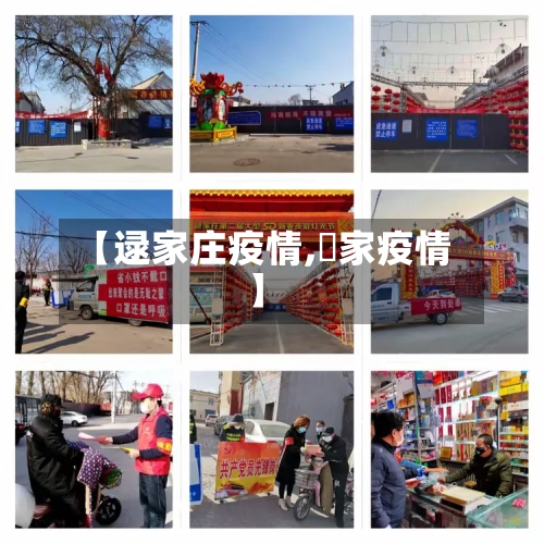 【逯家庄疫情,囯家疫情】