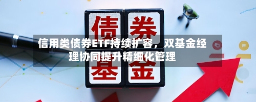 信用类债券ETF持续扩容，双基金经理协同提升精细化管理-第2张图片