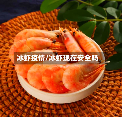 冰虾疫情/冰虾现在安全吗