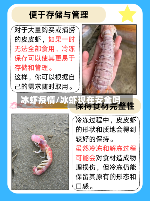 冰虾疫情/冰虾现在安全吗-第3张图片