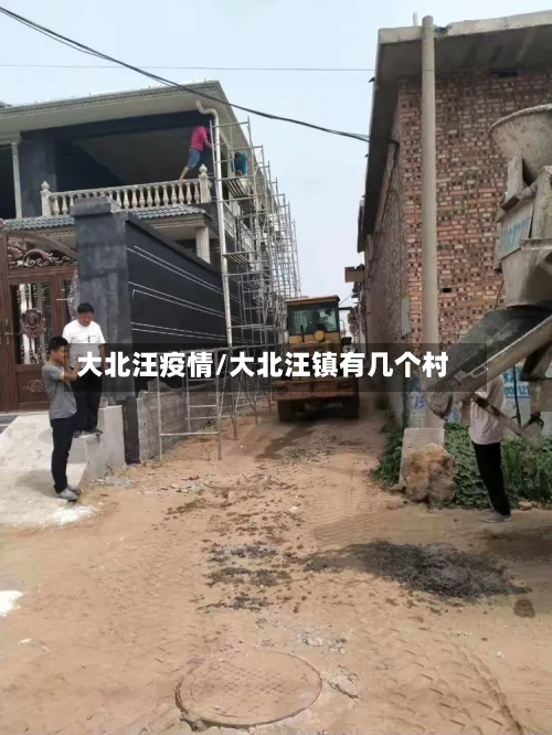 大北汪疫情/大北汪镇有几个村-第1张图片