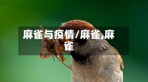 麻雀与疫情/麻雀,麻雀