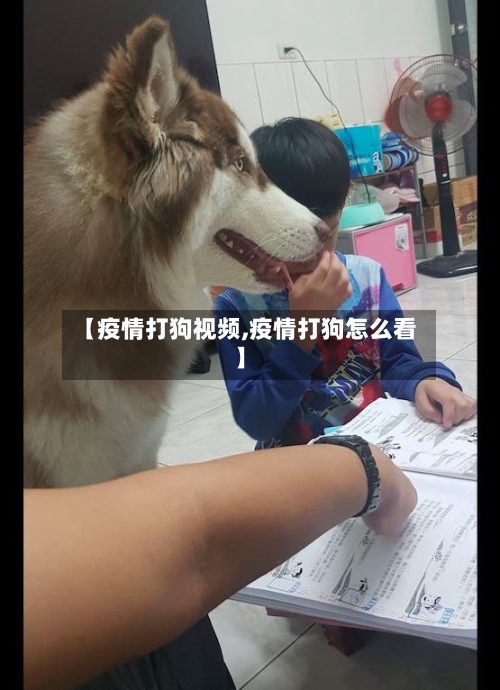 【疫情打狗视频,疫情打狗怎么看】