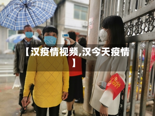 【汉疫情视频,汉今天疫情】-第2张图片