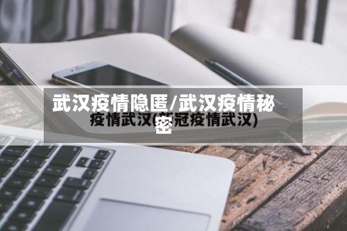 武汉疫情隐匿/武汉疫情秘密-第2张图片
