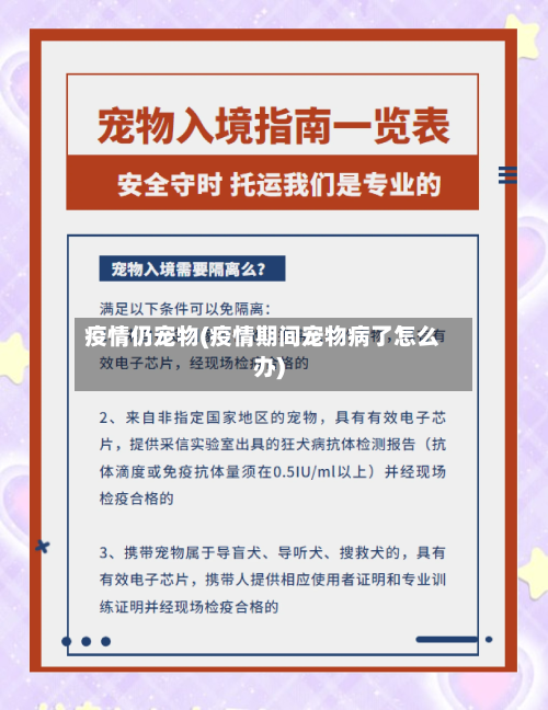 疫情仍宠物(疫情期间宠物病了怎么办)-第2张图片