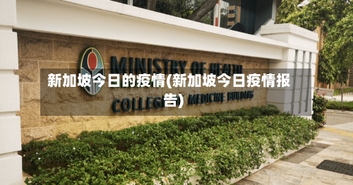 新加坡今日的疫情(新加坡今日疫情报告)