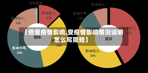 【但受疫情影响,受疫情影响情况说明怎么写简短】