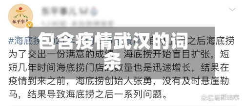 包含疫情武汉的词条-第2张图片