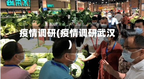 疫情调研(疫情调研武汉)-第2张图片