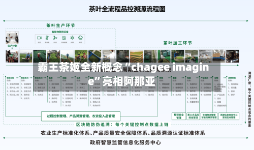 霸王茶姬全新概念“chagee imagine”亮相阿那亚-第2张图片