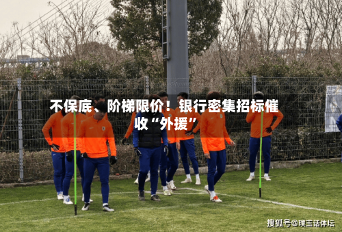 不保底、阶梯限价！银行密集招标催收“外援”-第2张图片