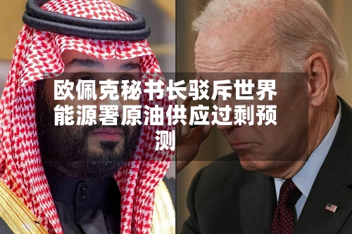 欧佩克秘书长驳斥世界能源署原油供应过剩预测