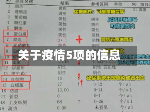 关于疫情5项的信息