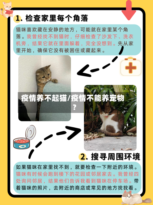 疫情养不起猫/疫情不能养宠物?