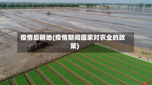 疫情后耕地(疫情期间国家对农业的政策)-第2张图片