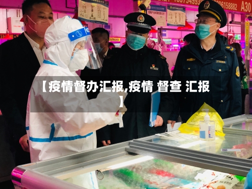 【疫情督办汇报,疫情 督查 汇报】-第2张图片