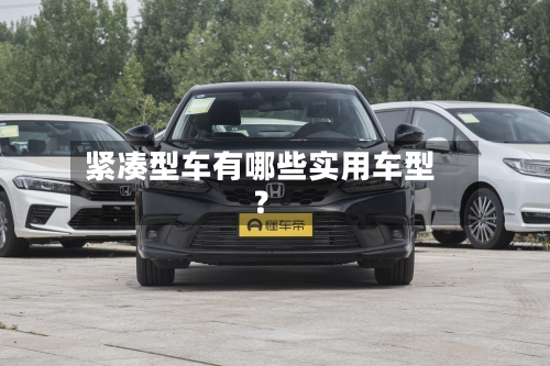 紧凑型车有哪些实用车型？-第2张图片