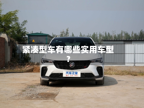 紧凑型车有哪些实用车型？