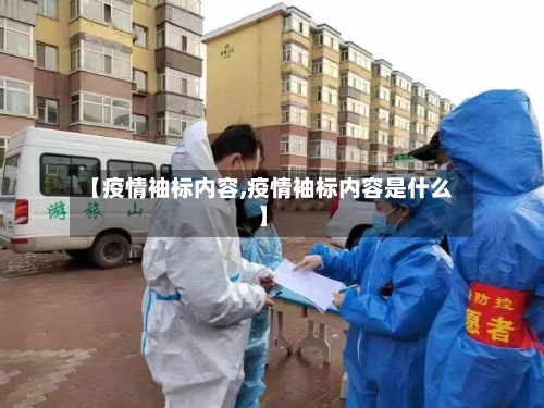 【疫情袖标内容,疫情袖标内容是什么】-第2张图片