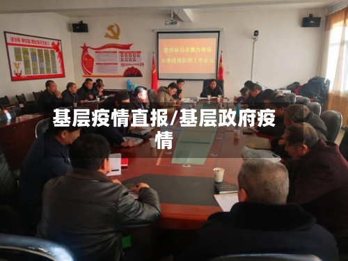 基层疫情直报/基层政府疫情
