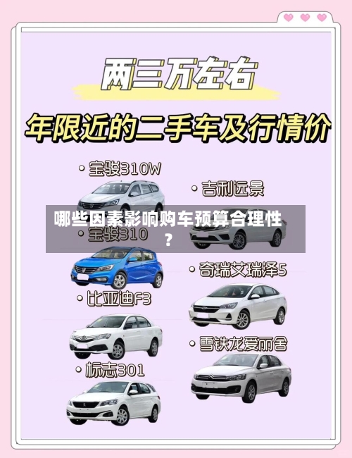 哪些因素影响购车预算合理性？-第3张图片