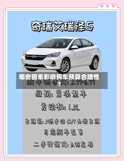 哪些因素影响购车预算合理性?