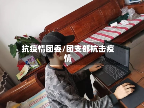 抗疫情团委/团支部抗击疫情