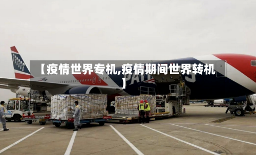 【疫情世界专机,疫情期间世界转机】-第2张图片