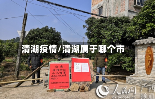 清湖疫情/清湖属于哪个市