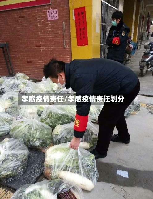 孝感疫情责任/孝感疫情责任划分