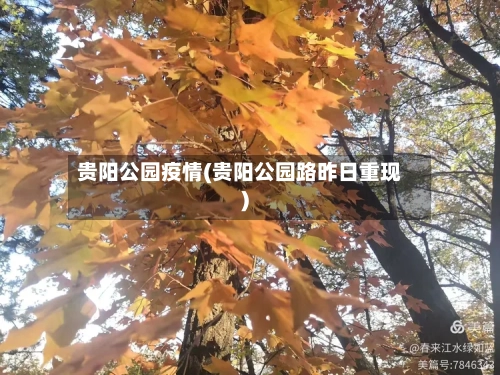 贵阳公园疫情(贵阳公园路昨日重现)-第3张图片