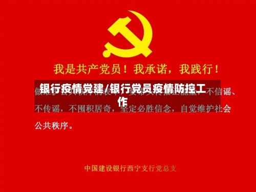 银行疫情党建/银行党员疫情防控工作