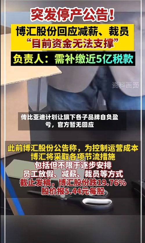 传比亚迪计划让旗下各子品牌自负盈亏，官方暂无回应