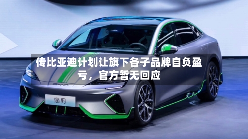 传比亚迪计划让旗下各子品牌自负盈亏，官方暂无回应-第2张图片