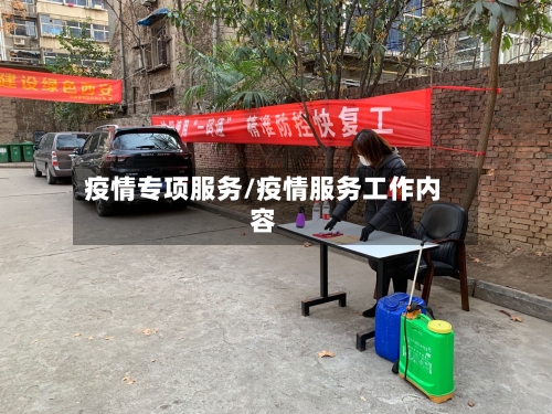 疫情专项服务/疫情服务工作内容
