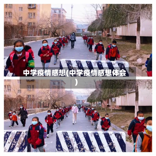 中学疫情感想(中学疫情感想体会)
