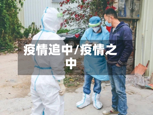 疫情追中/疫情之中-第3张图片