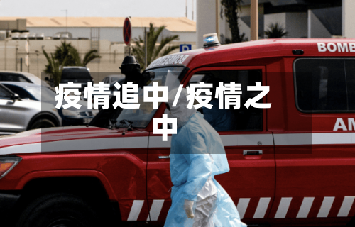 疫情追中/疫情之中