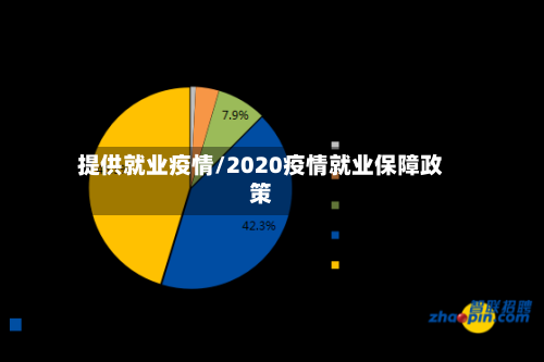 提供就业疫情/2020疫情就业保障政策-第3张图片