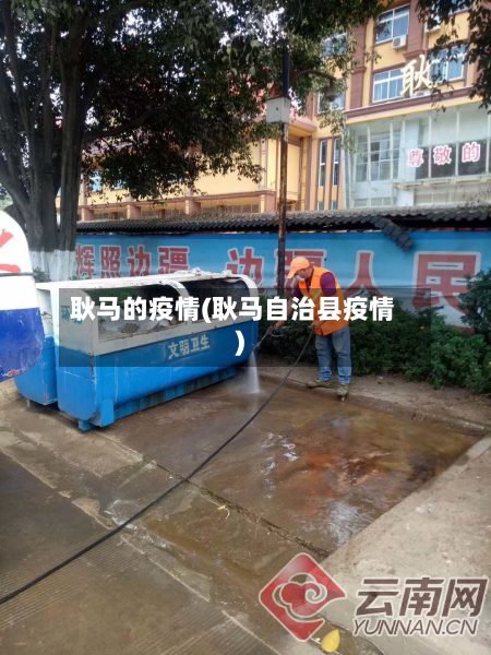 耿马的疫情(耿马自治县疫情)-第3张图片