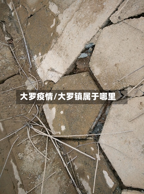 大罗疫情/大罗镇属于哪里-第3张图片