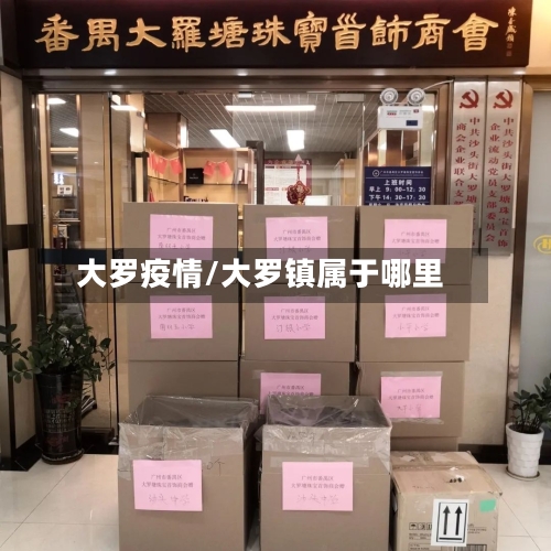 大罗疫情/大罗镇属于哪里-第2张图片
